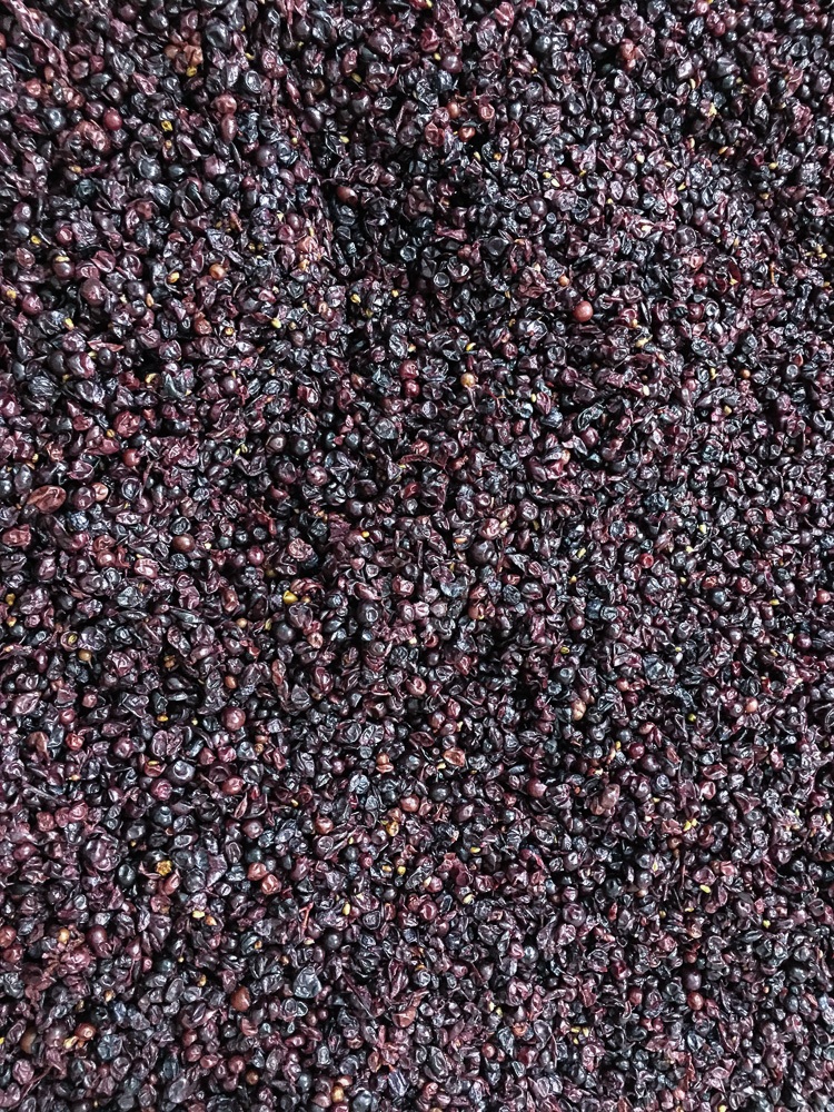 Three Feathers pinot noir grapes sorted and de-stemmed and ready for the fermentation tanks, Lady Hill Winery, Saint Paul, Oregon, USA.