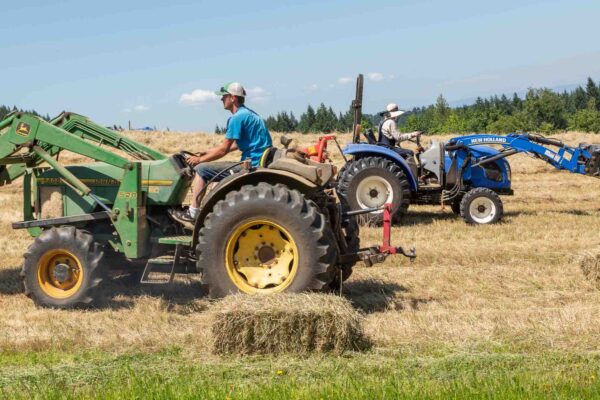 John Deere and New Holland cross paths in the haying frenzy to t
