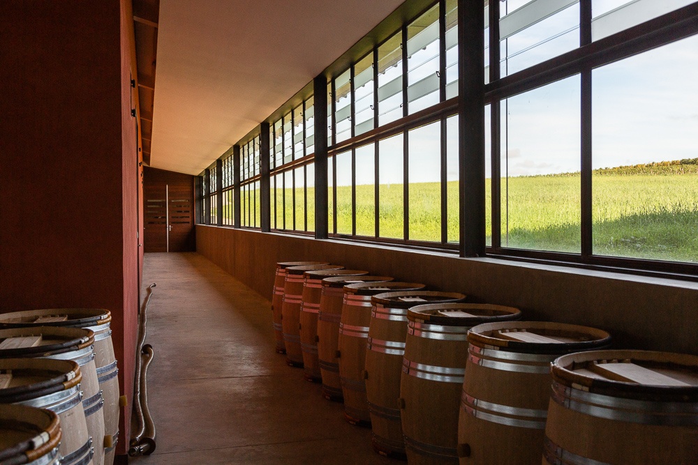 Tasting room in the barrel chai of Château Pavie Macquin, Saint Emilion, Bordeaux region, Department of the Gironde, France.