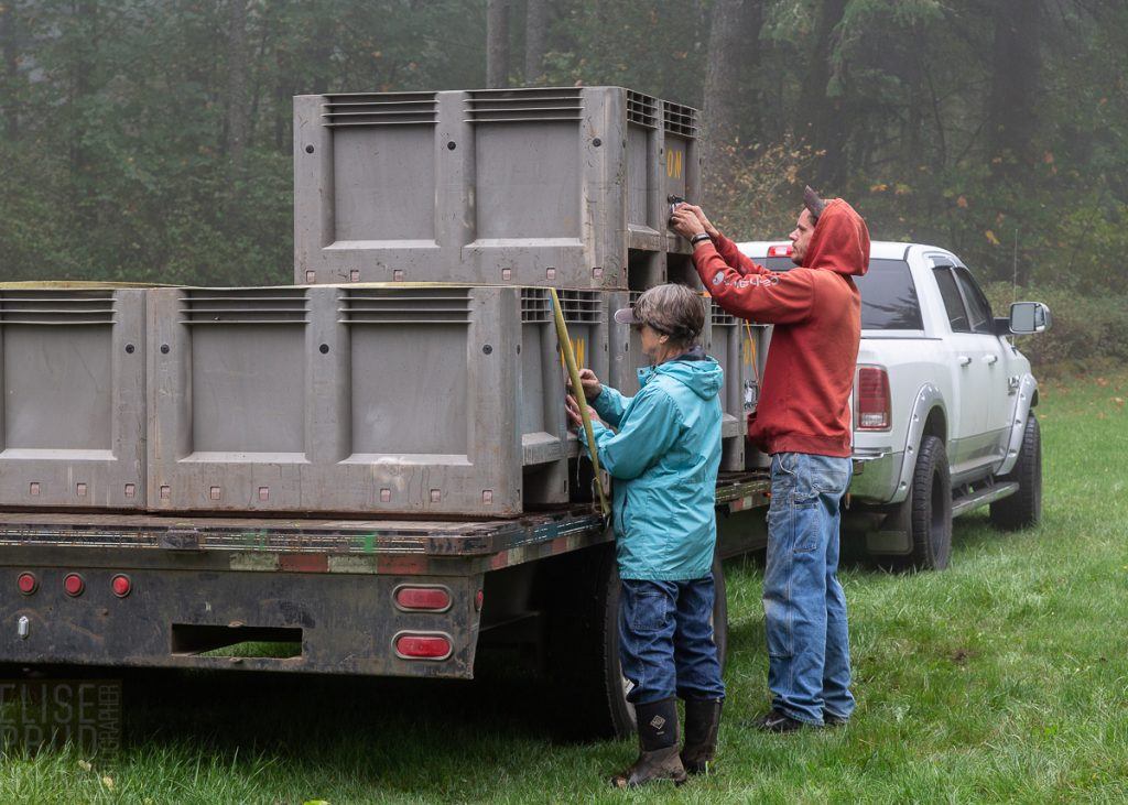 Three Feathers harvest 2020