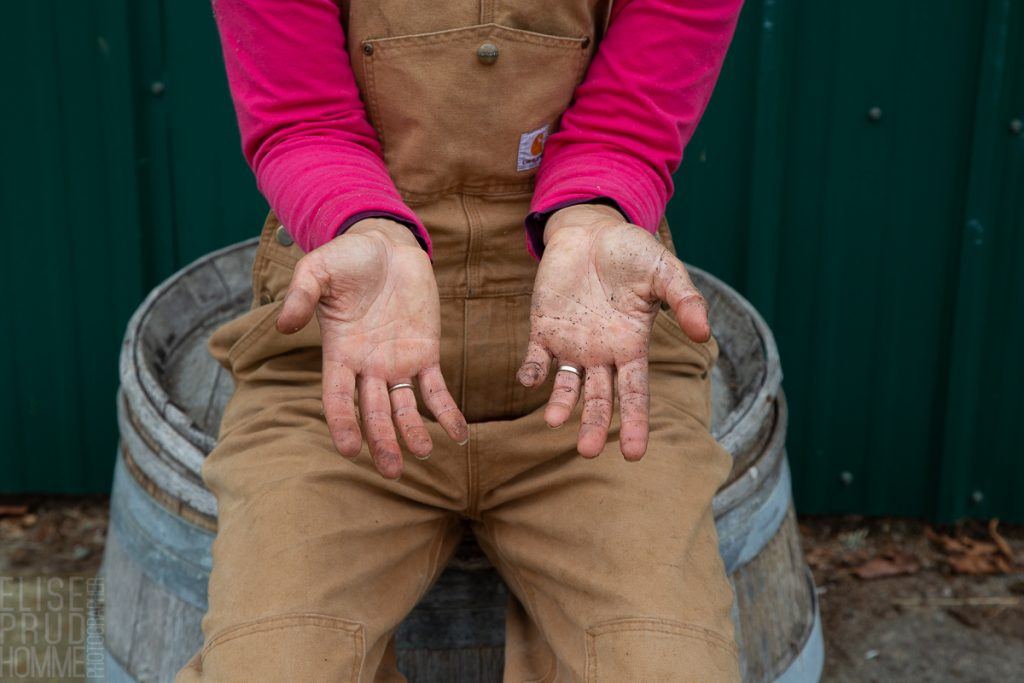 Three Feathers harvest 2020