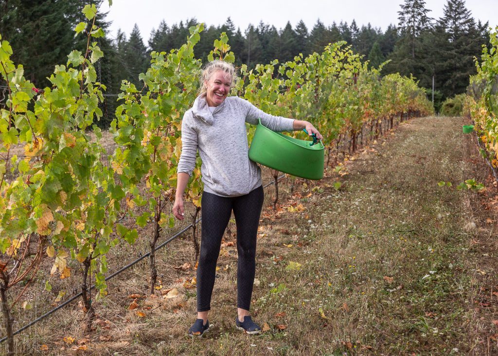 Friends gathered at Torio Vineyard to harvest the Pinot Noir Pre