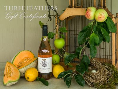 Illustrated tasting notes in the form of a Still Life of Three Feathers 2018 Blanc de Noirs, gift certificate packaging