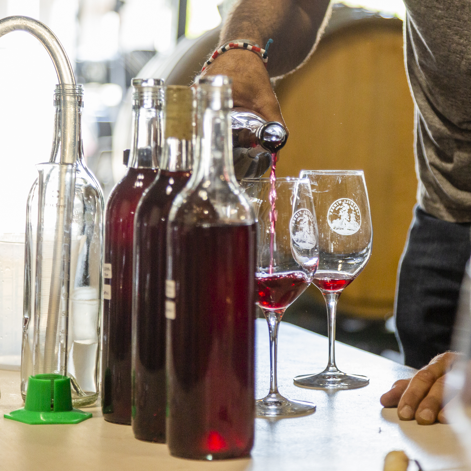 Barrel tasting our Pinot Noir Precoce single clone first vintage
