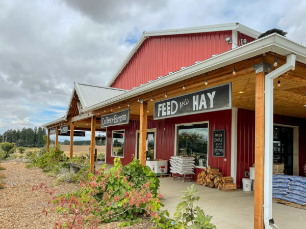 Three Feathers is sold at Helvetia Market in Hillsboro.  Stay tuned about scheduled wine tastings at this venue.