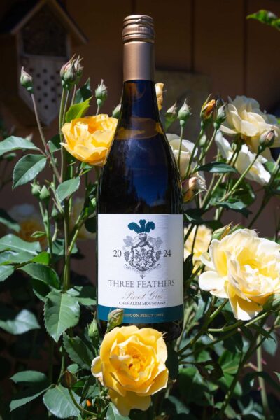 Three Feathers 2024 Pinot Gris bottle