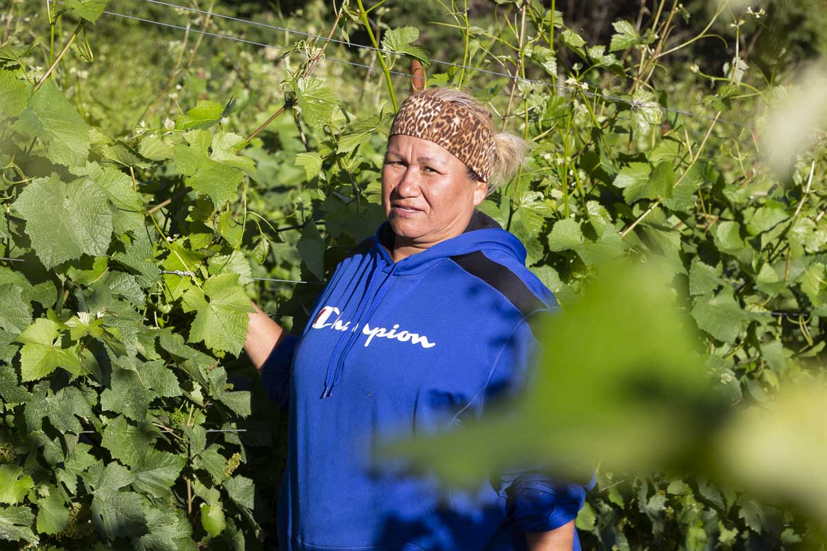 Marcellina working in the Pommard Block of Torio Vineyard.
