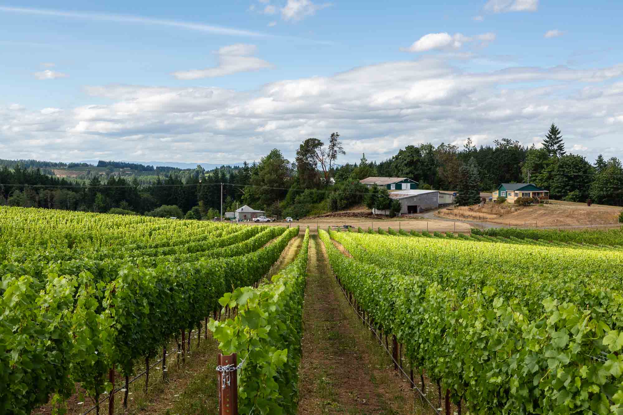 Discover Why Local is Better: The Appeal Behind Three Feathers