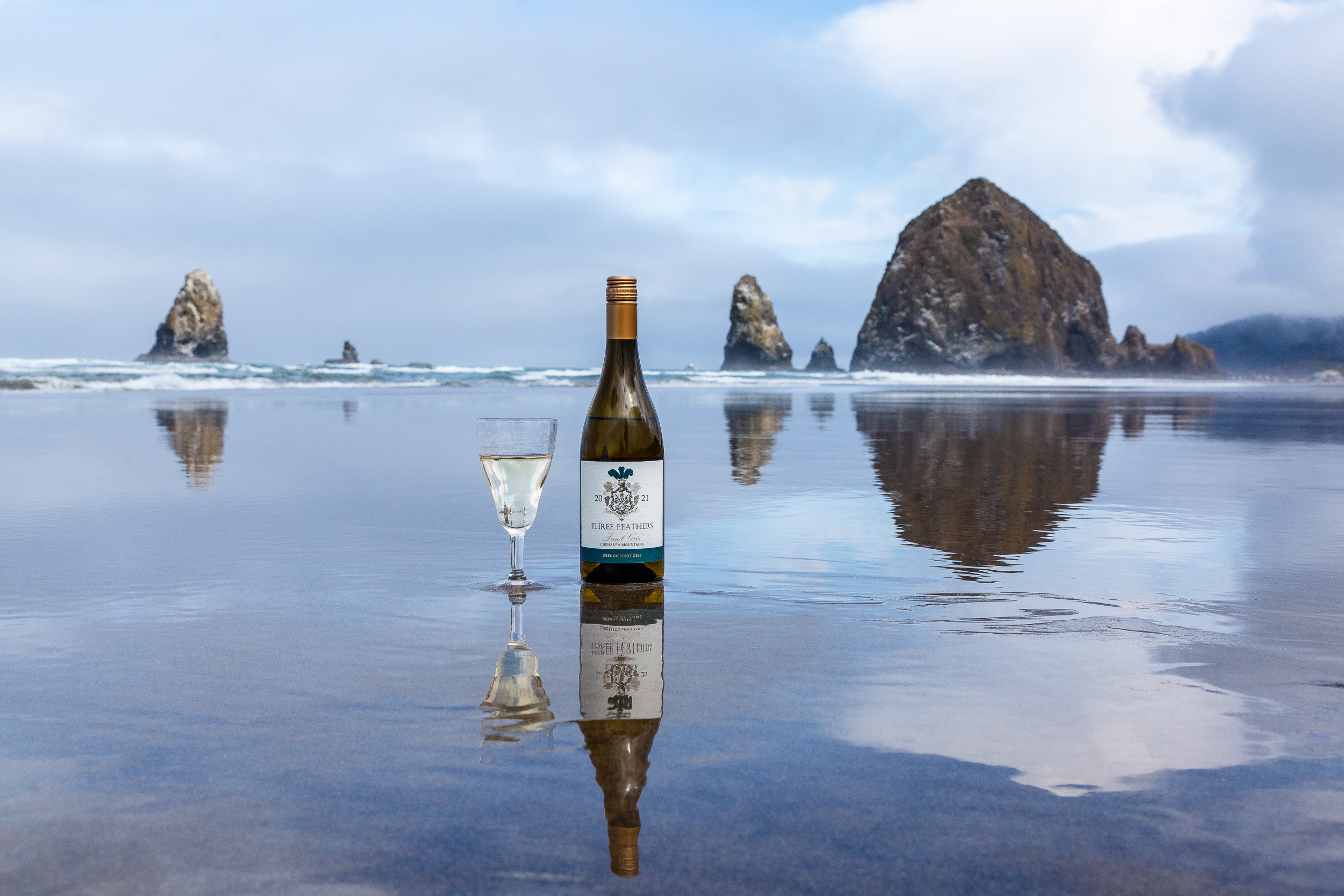 Three Feathers Estate & Vineyard 2021 Pinot Gris at Cannon Beach